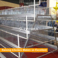 Tianrui Design Steel Galvanized H Type Jaula automática para colocar huevos de gallina